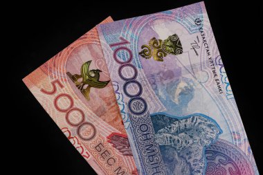 Banknotlar yeni bir tasarımın 5,000 ve 10,000 Kazakistan tentesinden oluşmaktadır.