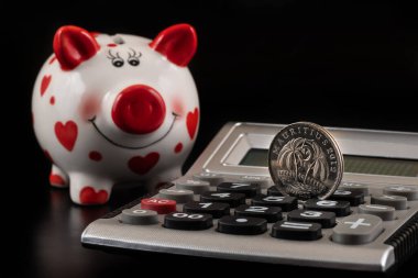 Mauritius 5 rupi madeni para ve hesap makinesi