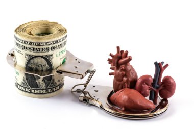 Human organs - liver, kidneys, heart and a pack of US dollars in handcuffs clipart