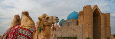 Türkistan 'ın Kazak kentindeki ünlü Ortaçağ mozolesine karşı bir Bactrian devesi.