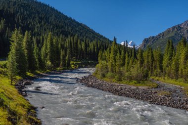 Bayankol Nehri, güneydoğu Kazakistan 'da Ufukta Khan Tengri Tepesi' nin olduğu pitoresk bir vadi.
