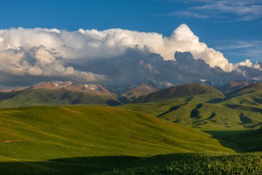 Kazakistan 'ın güneydoğusundaki Almaty bölgesinde pitoresk bir dağ yaylası.