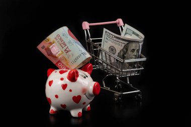 100 Meksika pezosu domuz kumbarasında ve 100 dolar da alışveriş arabasında.