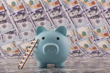 Arka planda 100 dolarlık banknotlar olan mavi domuz kumbarası.