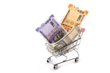 Hindistan Cumhuriyeti 'nin farklı mezheplerinin Hint rupi notları ve beyaz arka plandaki bir süpermarketten alınmış minyatür bir alışveriş çantası.