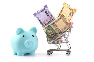 Hindistan Cumhuriyeti 'nin farklı mezheplerinin Hint rupi notları ve beyaz arka plandaki bir süpermarketten alınmış minyatür bir alışveriş çantası.