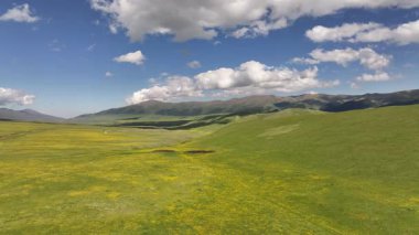 Bir bahar günü Kazakistan 'ın güneydoğusundaki Almaty bölgesinde bulunan Asy' nin resim gibi yüksek platosundan bir görüntü.