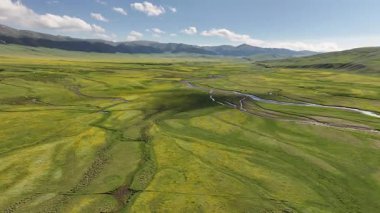 Kazakistan 'ın güneydoğusundaki Almaty bölgesinde bir bahar günü, Asya yüksek dağlık platosu üzerindeki bir nehrin dörtlü görüntüsü.