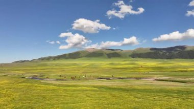 Kazakistan 'ın güneydoğusundaki Almaty bölgesinde bir bahar günü, Asya yüksek dağlık platosu üzerindeki bir nehrin dörtlü görüntüsü.