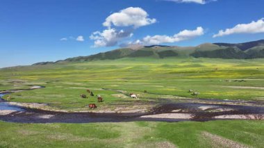 Kazakistan 'ın güneydoğusundaki Almaty bölgesinde bir bahar günü, Asya yüksek dağlık platosu üzerindeki bir nehrin dörtlü görüntüsü.