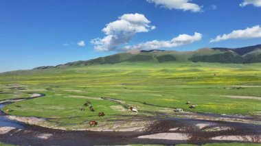 Kazakistan 'ın güneydoğusundaki Almaty bölgesinde bir bahar günü, Asya yüksek dağlık platosu üzerindeki bir nehrin dörtlü görüntüsü.