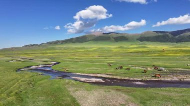 Kazakistan 'ın güneydoğusundaki Almaty bölgesinde bir bahar günü, Asya yüksek dağlık platosu üzerindeki bir nehrin dörtlü görüntüsü.