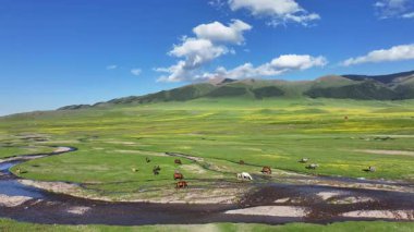 Kazakistan 'ın güneydoğusundaki Almaty bölgesinde bir bahar günü, Asya yüksek dağlık platosu üzerindeki bir nehrin dörtlü görüntüsü.