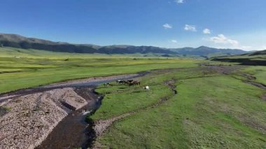 Kazakistan 'ın güneydoğusundaki Almaty bölgesinde bir bahar günü, Asya yüksek dağlık platosu üzerindeki bir nehrin dörtlü görüntüsü.