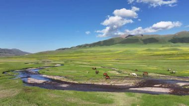 Kazakistan 'ın güneydoğusundaki Almaty bölgesinde bir bahar günü, Asya yüksek dağlık platosu üzerindeki bir nehrin dörtlü görüntüsü.