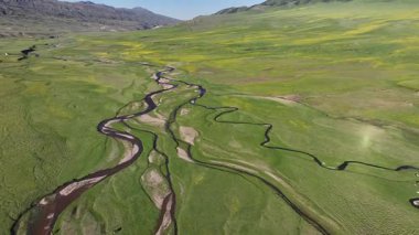 Kazakistan 'ın güneydoğusundaki Almaty bölgesinde bir bahar günü, Asya yüksek dağlık platosu üzerindeki bir nehrin dörtlü görüntüsü.