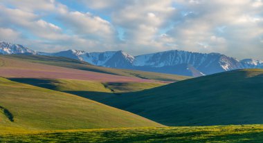 Güneydoğu Kazakistan 'ın Almaty bölgesindeki Asy yüksek dağlık platosu bahar çiçekleriyle kaplıydı.