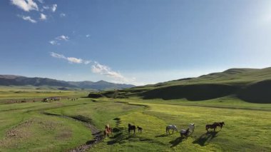 Güneydoğu Kazakistan 'ın Almaty bölgesinde bir bahar günü, yüksek dağ platosunda otlayan atlar.