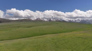 Güneydoğu Kazakistan 'ın Almaty bölgesindeki Asy yüksek dağlık platosu bahar çiçekleriyle kaplıydı.