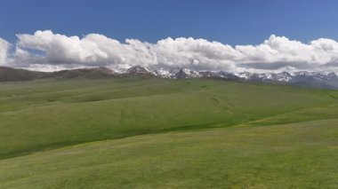 Güneydoğu Kazakistan 'ın Almaty bölgesindeki Asy yüksek dağlık platosu bahar çiçekleriyle kaplıydı.