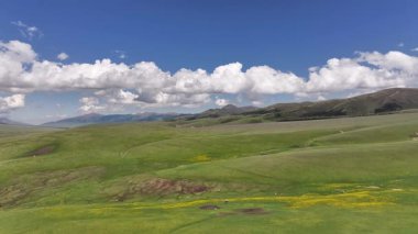 Güneydoğu Kazakistan 'ın Almaty bölgesindeki Asy yüksek dağlık platosu bahar çiçekleriyle kaplıydı.