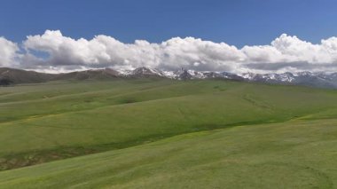 Güneydoğu Kazakistan 'ın Almaty bölgesindeki Asy yüksek dağlık platosu bahar çiçekleriyle kaplıydı.