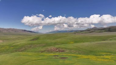 Güneydoğu Kazakistan 'ın Almaty bölgesindeki Asy yüksek dağlık platosu bahar çiçekleriyle kaplıydı.