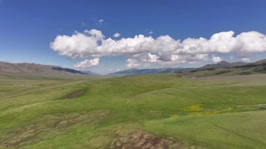 Güneydoğu Kazakistan 'ın Almaty bölgesindeki Asy yüksek dağlık platosu bahar çiçekleriyle kaplıydı.