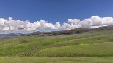 Güneydoğu Kazakistan 'ın Almaty bölgesindeki Asy yüksek dağlık platosu bahar çiçekleriyle kaplıydı.