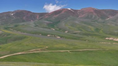 Güneydoğu Kazakistan 'ın Almaty bölgesindeki Asy yüksek dağlık platosu bahar çiçekleriyle kaplıydı.