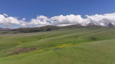 Güneydoğu Kazakistan 'ın Almaty bölgesindeki Asy yüksek dağlık platosu bahar çiçekleriyle kaplıydı.