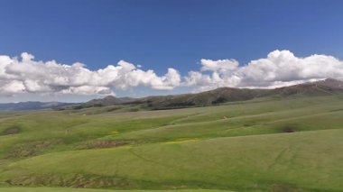 Güneydoğu Kazakistan 'ın Almaty bölgesindeki Asy yüksek dağlık platosu bahar çiçekleriyle kaplıydı.