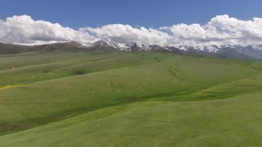 Güneydoğu Kazakistan 'ın Almaty bölgesindeki Asy yüksek dağlık platosu bahar çiçekleriyle kaplıydı.