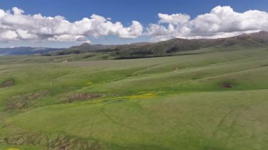 Güneydoğu Kazakistan 'ın Almaty bölgesindeki Asy yüksek dağlık platosu bahar çiçekleriyle kaplıydı.