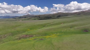 Güneydoğu Kazakistan 'ın Almaty bölgesindeki Asy yüksek dağlık platosu bahar çiçekleriyle kaplıydı.