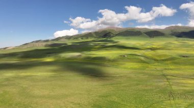 Güneydoğu Kazakistan 'ın Almaty bölgesindeki Asy yüksek dağlık platosu bahar çiçekleriyle kaplıydı.
