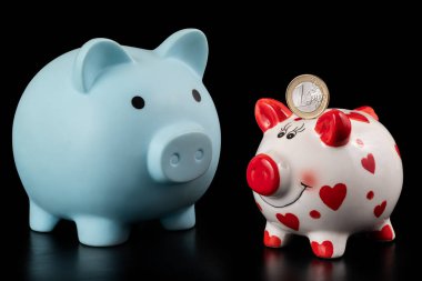 1 Euro ve 2 kumbara.