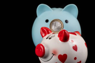 1 Euro ve 2 kumbara.