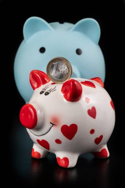 1 Euro ve 2 kumbara.