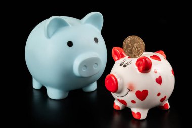 İki domuz kumbarası ve Özgürlük Anıtı 'nın yanında bir dolar.