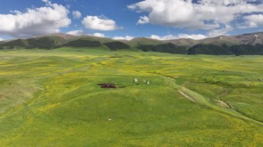 Kazakistan 'ın güneydoğusundaki Almaty bölgesinde bir bahar günü yüksek dağlık bir plato ve gözlemevi.
