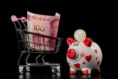 10 Çin Yuan sikkesi, kumbarası ve 100 Yuan banknot.