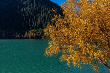 Kazakistan 'ın güneydoğusundaki Almaty bölgesinde yer alan yüksek dağ gölü Issyk civarındaki resimli sonbahar manzarası.