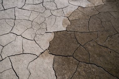 Çölde, sıcaktan çatlamış kil. Bazıları ıslanır.