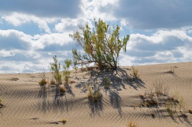 Güneydoğu Kazakistan 'daki Almaty bölgesinin çöl bölgesinde kum tepesi ve bulutlu bir gökyüzü..
