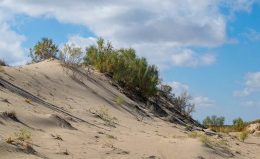 Güneydoğu Kazakistan 'daki Almaty bölgesinin çöl bölgesinde kum tepesi ve bulutlu bir gökyüzü..