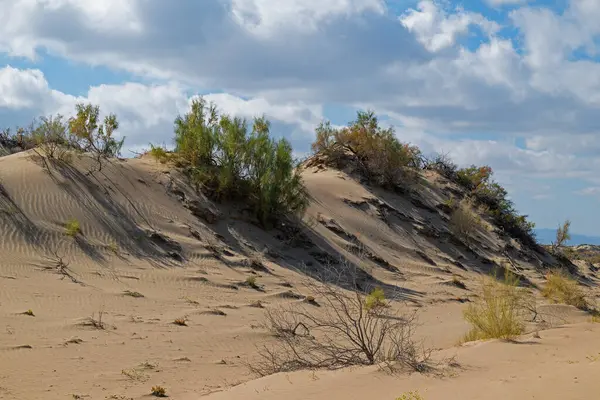 Güneydoğu Kazakistan 'daki Almaty bölgesinin çöl bölgesinde kum tepesi ve bulutlu bir gökyüzü..