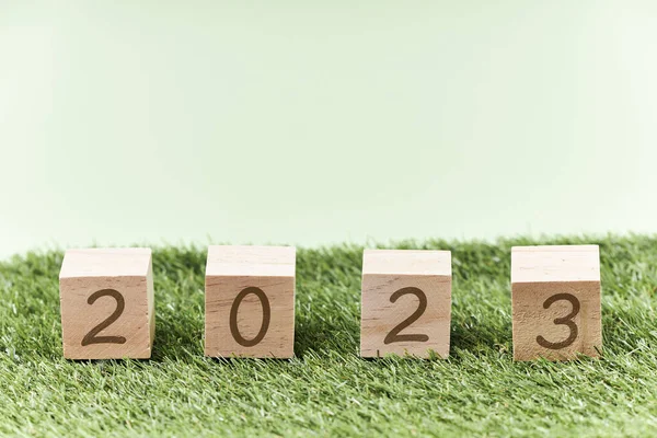 2023年的立方体在草甸新年的概念 年度变动情况 — 图库照片