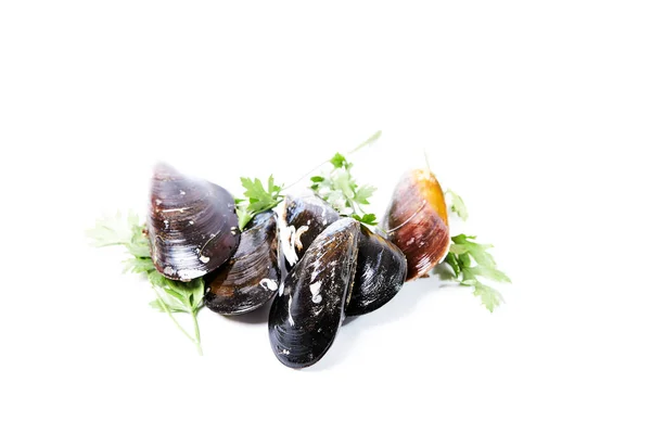 Φρέσκα Μύδια Μαϊντανό Λευκό Φόντο Φαγητό Κελύφους Υγιεινά Τρόφιμα — Φωτογραφία Αρχείου