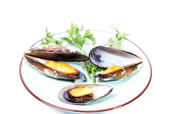 Πιάτα Αχνιστά Μύδια Μαϊντανό Λευκό Φόντο Φαγητό Κελύφους Υγιή Τρόφιμα — Φωτογραφία Αρχείου